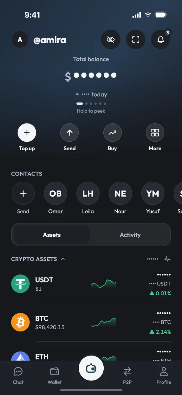 Balances hidden by privacy mode